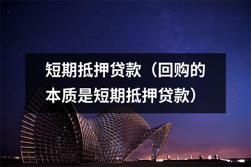 短期抵押贷款（回购的本质是短期抵押贷款）