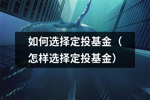 如何选择定投基金（怎样选择定投基金）