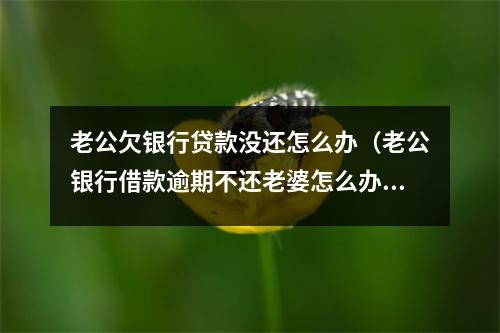 老公欠银行贷款没还怎么办（老公银行借款逾期不还老婆怎么办）