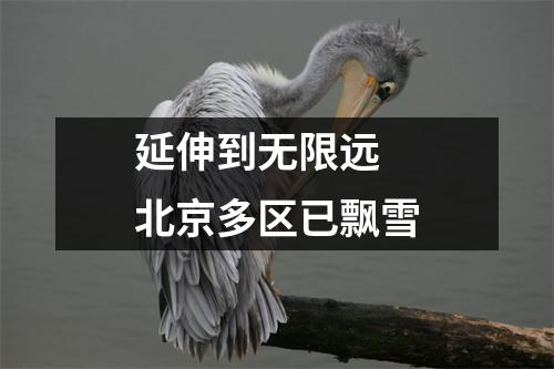 延伸到无限远 北京多区已飘雪