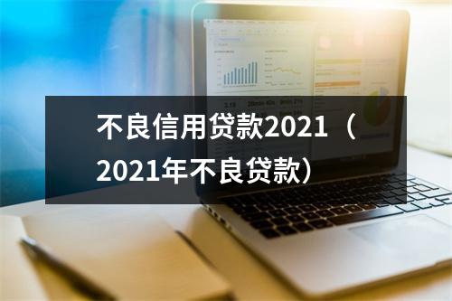 不良信用贷款2021（2021年不良贷款）