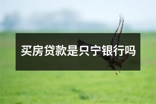 买房贷款是只宁银行吗