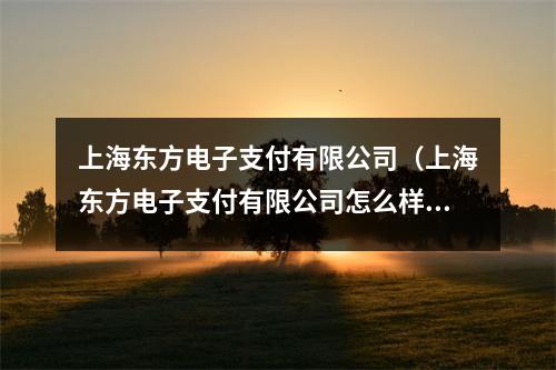 上海东方电子支付有限公司(上海东方电子支付有限公司怎么样)