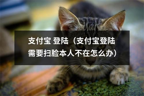 支付宝 登陆（支付宝登陆需要扫脸本人不在怎么办）