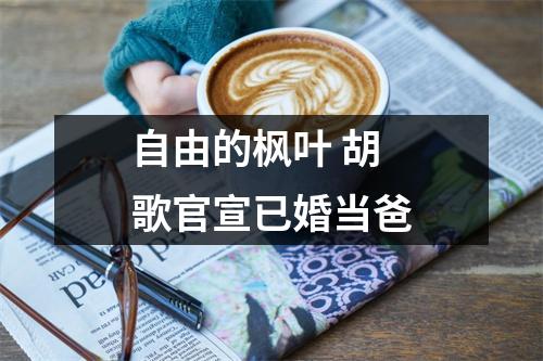 自由的枫叶 胡歌官宣已婚当爸