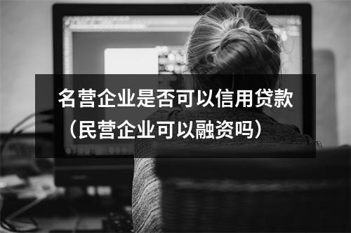 名营企业是否可以信用贷款（民营企业可以融资吗）