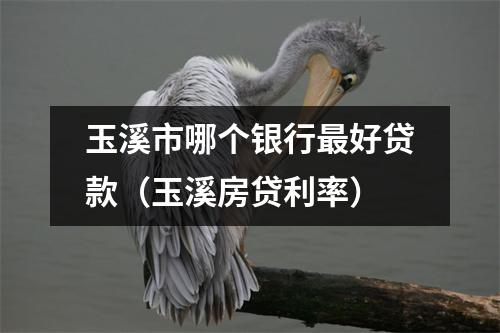 玉溪市哪个银行最好贷款（玉溪房贷利率）