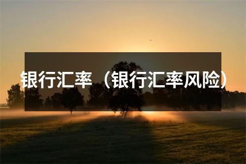 银行汇率（银行汇率风险）
