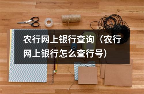农行网上银行查询（农行网上银行怎么查行号）