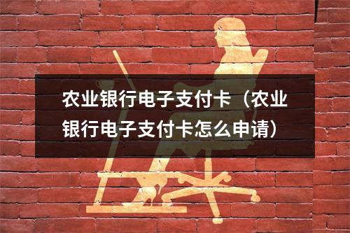 农业银行电子支付卡（农业银行电子支付卡怎么申请）