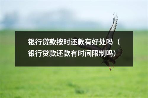 银行贷款按时还款有好处吗（银行贷款还款有时间限制吗）