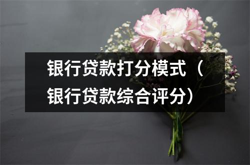 银行贷款打分模式（银行贷款综合评分）