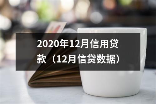 2020年12月信用贷款（12月信贷数据）