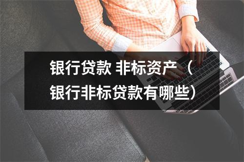 银行贷款 非标资产（银行非标贷款有哪些）