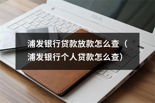 浦发银行贷款放款怎么查（浦发银行个人贷款怎么查）