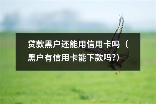 贷款黑户还能用信用卡吗（黑户有信用卡能下款吗?）