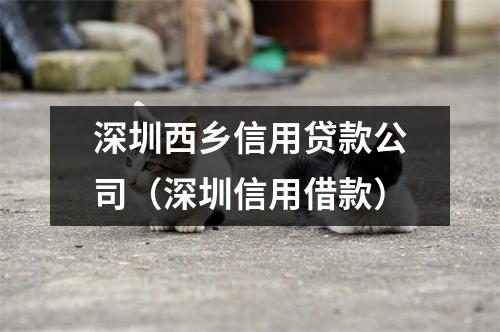 深圳西乡信用贷款公司（深圳信用借款）