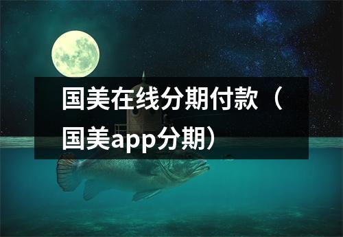 国美在线分期付款（国美app分期）