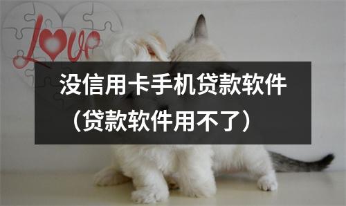 没信用卡手机贷款软件(贷款软件用不了)