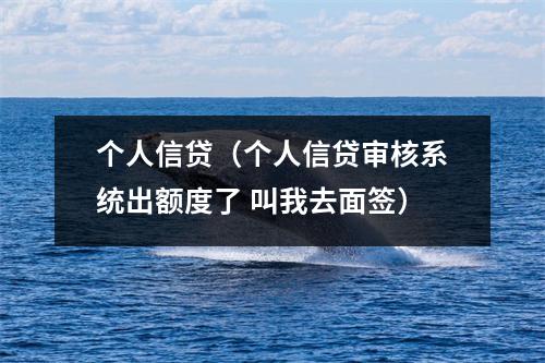 个人信贷（个人信贷审核系统出额度了 叫我去面签）