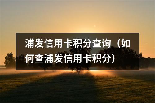 浦发信用卡积分查询(如何查浦发信用卡积分)