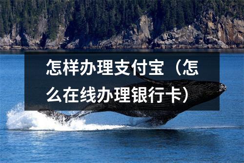 怎样办理支付宝（怎么在线办理银行卡）