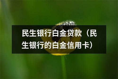 民生银行白金贷款（民生银行的白金信用卡）