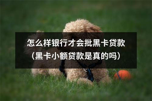怎么样银行才会批黑卡贷款（黑卡小额贷款是真的吗）
