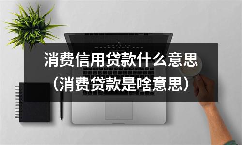 消费信用贷款什么意思（消费贷款是啥意思）