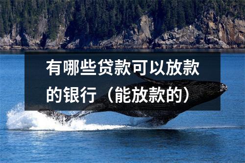 有哪些贷款可以放款的银行（能放款的）