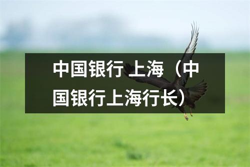 中国银行 上海（中国银行上海行长）