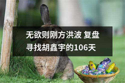 无欲则刚方洪波 复盘寻找胡鑫宇的106天