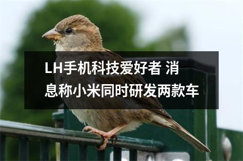 LH手机科技爱好者 消息称小米同时研发两款车