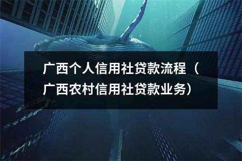 广西个人信用社贷款流程（广西农村信用社贷款业务）