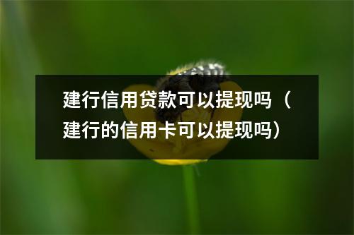 建行信用贷款可以提现吗（建行的信用卡可以提现吗）