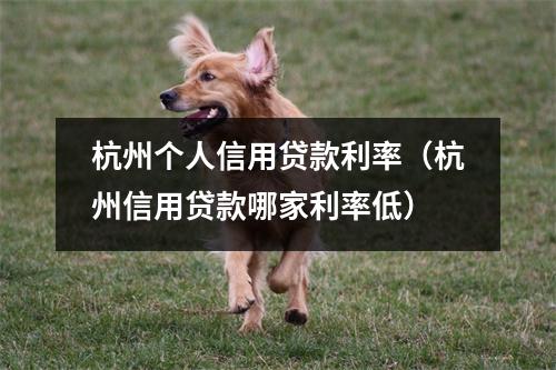 杭州个人信用贷款利率（杭州信用贷款哪家利率低）