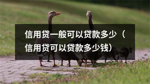 信用贷一般可以贷款多少（信用贷可以贷款多少钱）