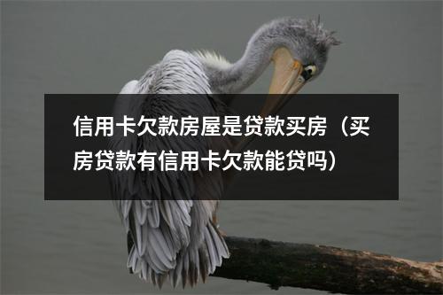 信用卡欠款房屋是贷款买房（买房贷款有信用卡欠款能贷吗）
