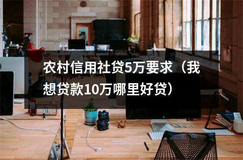 农村信用社贷5万要求（我想贷款10万哪里好贷）