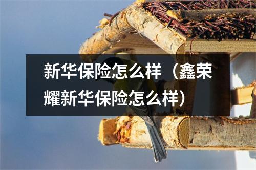 新华保险怎么样（鑫荣耀新华保险怎么样）