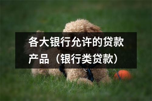 各大银行允许的贷款产品（银行类贷款）