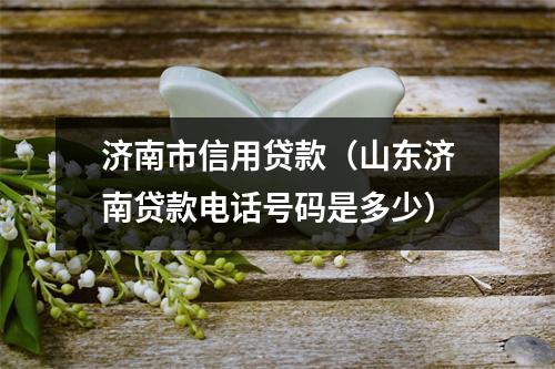 济南市信用贷款（山东济南贷款电话号码是多少）