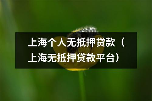 上海个人无抵押贷款（上海无抵押贷款平台）