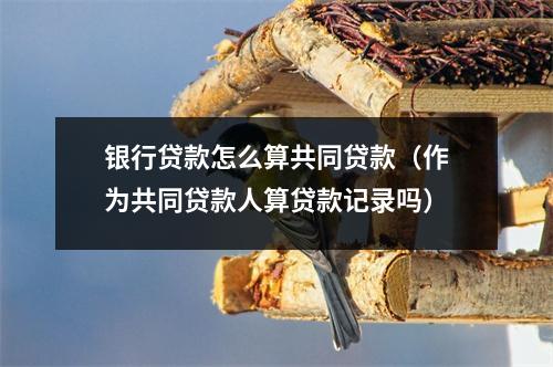 银行贷款怎么算共同贷款（作为共同贷款人算贷款记录吗）