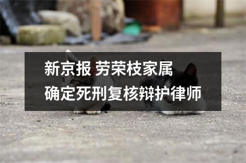 新京报 劳荣枝家属 确定死刑复核辩护律师