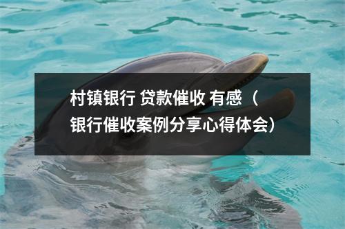 村镇银行 贷款催收 有感（银行催收案例分享心得体会）