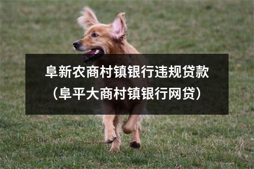 阜新农商村镇银行违规贷款（阜平大商村镇银行网贷）