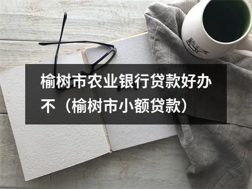 榆树市农业银行贷款好办不（榆树市小额贷款）