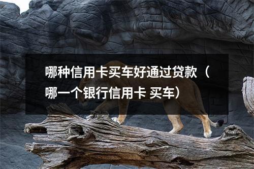 哪种信用卡买车好通过贷款（哪一个银行信用卡 买车）