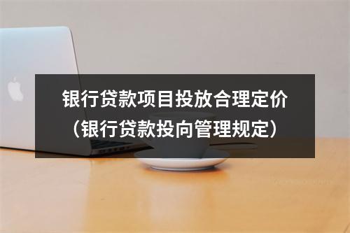 银行贷款项目投放合理定价(银行贷款投向管理规定)